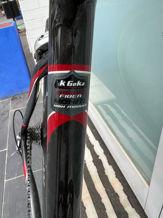 Bicicleta Goka Zero .8 Carbono