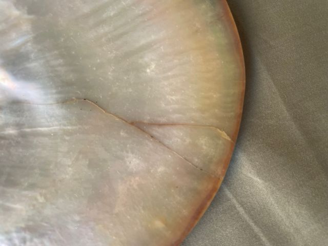 Concha Nácar Antigua