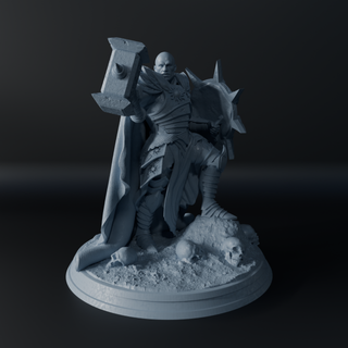 Paladín - Figura Resina 75mm - D&D