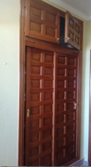 Puertas de armario de madera