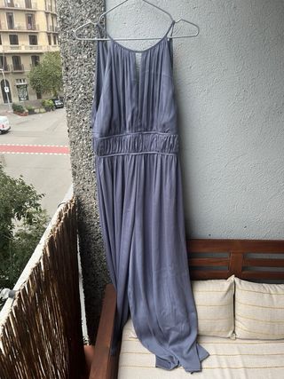 Mono gris azulado elegante