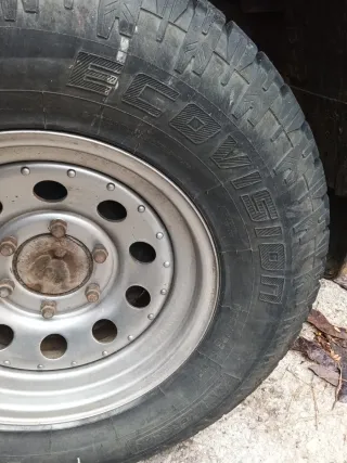 Ruedas y llantas Nissan Terrano