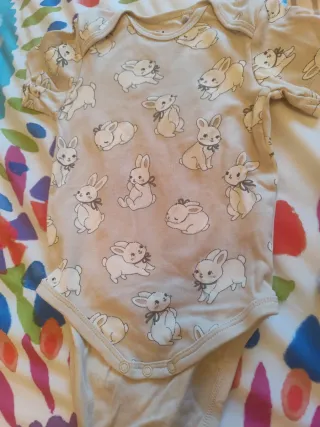 Bodies bebé manga corta (2 unidades)