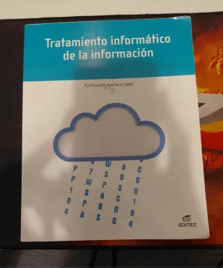 Tratamiento informático de la información