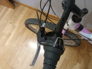 Bicicleta Montaña BH 24