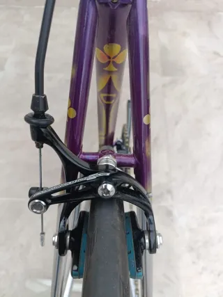 Colnago Máster Piu púrpura y dorado