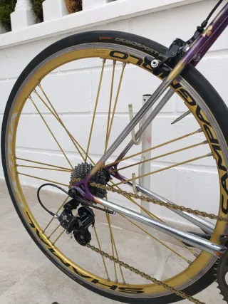 Colnago Máster Piu púrpura y dorado
