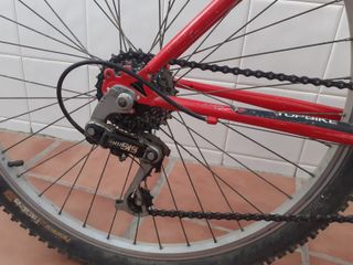 Bicicleta MTB Topbike Roja y Plata
