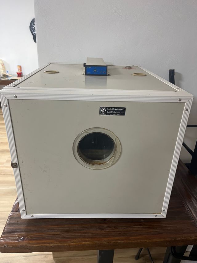 Incubadora de huevos gallina