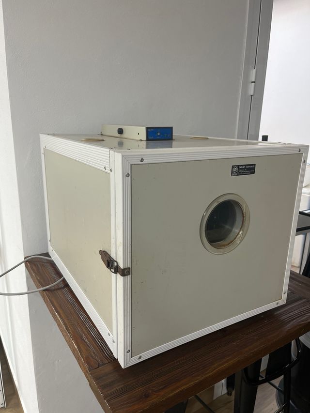 Incubadora de huevos gallina