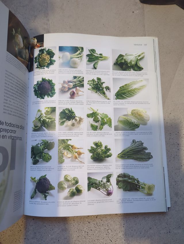 El gran libro de los alimentos del mundo