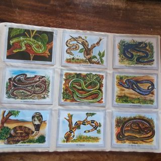 Precioso album de cromos "Vida y color" 1967