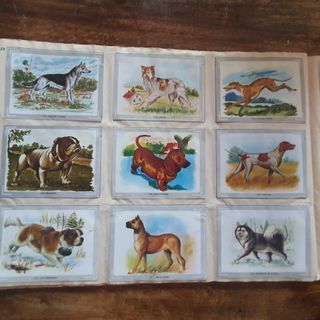 Precioso album de cromos "Vida y color" 1967