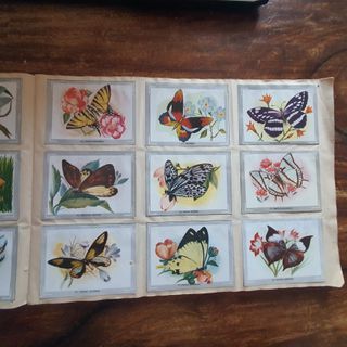 Precioso album de cromos "Vida y color" 1967