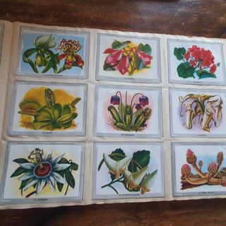 Precioso album de cromos "Vida y color" 1967