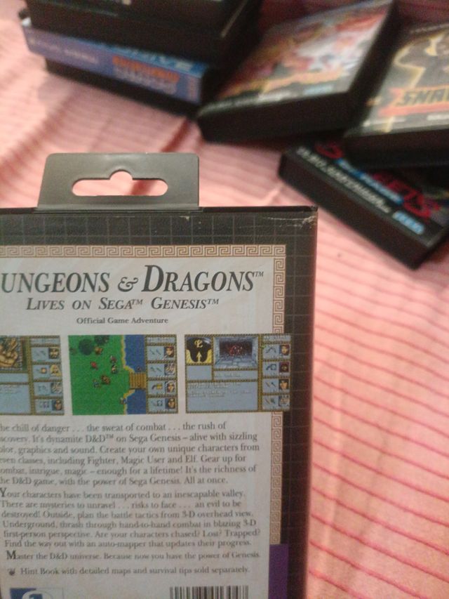 Dungeons & Dragons Warriors of the Eternal Sun Meg