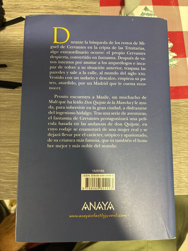 El despertar de Cervantes (Spanish Edition)