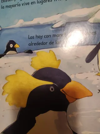 2 libros infantiles Pingüinos 