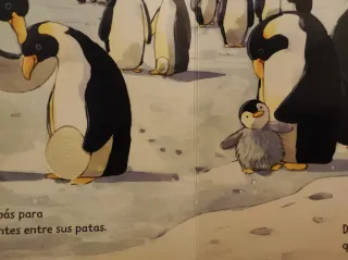 2 libros infantiles Pingüinos 