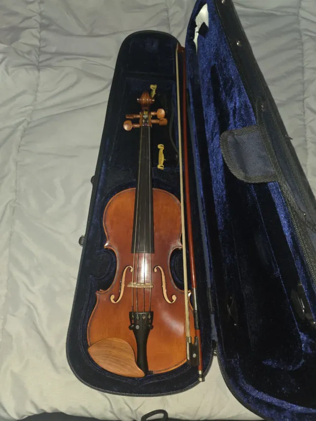 Viola de madera con estuche