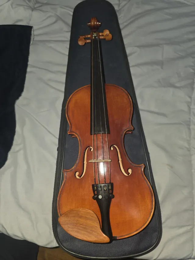 Viola de madera con estuche