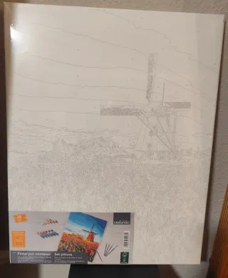 Lienzo para pintar por números 40x50 cm
