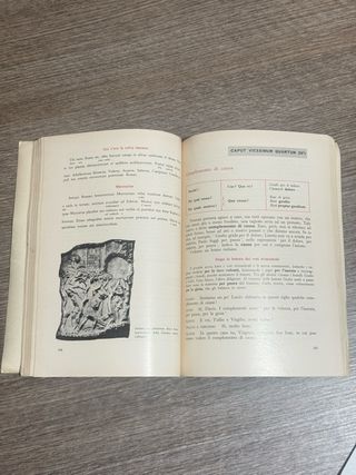 roma e noi,libro di testo 