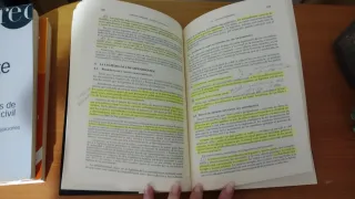 Principios de Derecho civil. Tomo VII: Sucesiones