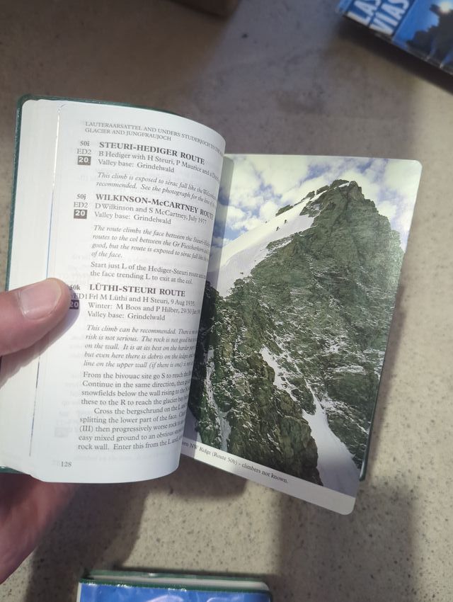 Escalada selecta en los Alpes verneses Oberland