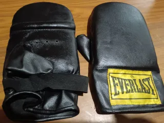 Guantillas Everlast Profesionales Artes Marciales
