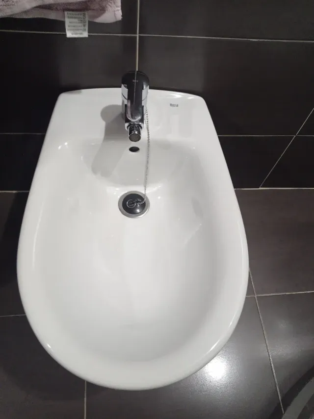 Bidé y grifo Roca blanco porcelana