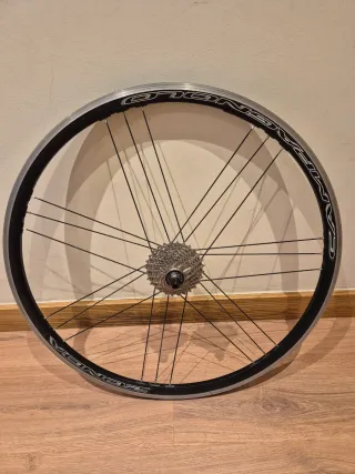 Ruedas Campagnolo Zonda C17