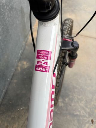 Bicicleta Megamo 24 Infantil