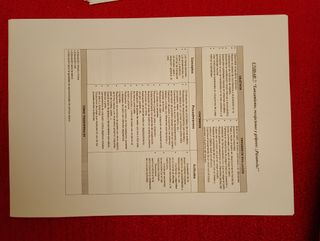 Educación física en Primaria Secuenciación