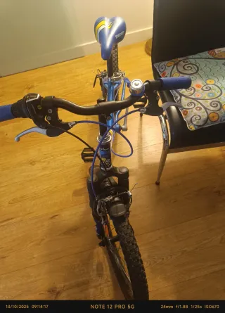Bicicleta azul