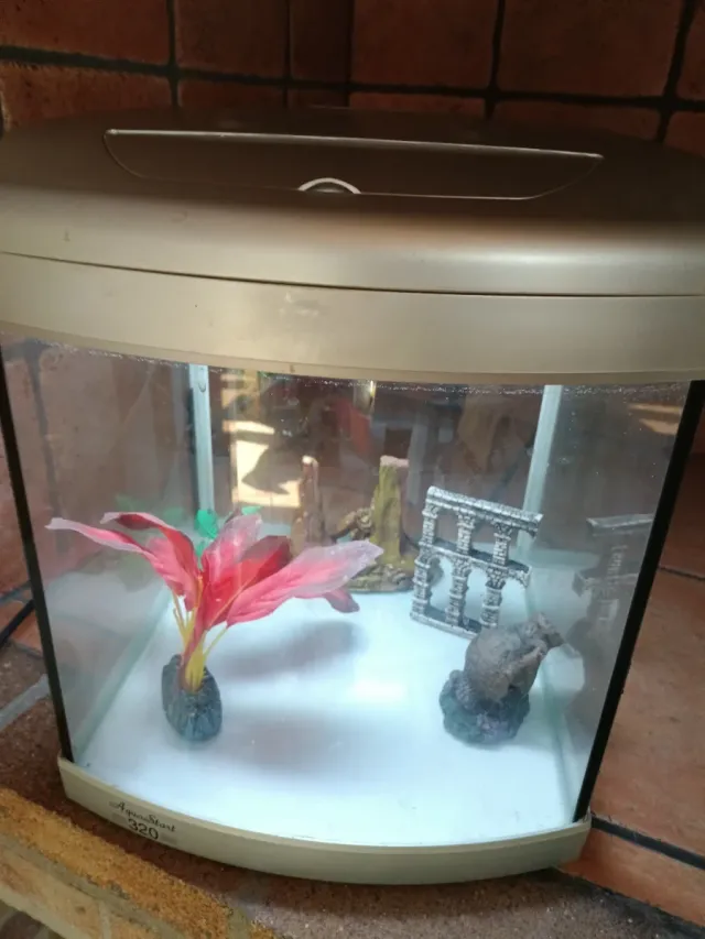 Acquario AquaStart 320 Beige