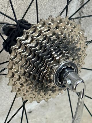 Rodillo Élite + Rueda con 105