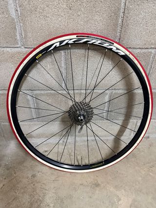 Rodillo Élite + Rueda con 105