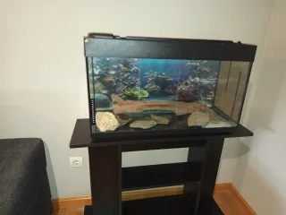 Acuario Nautilus ICA