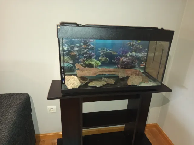 Acuario Nautilus ICA