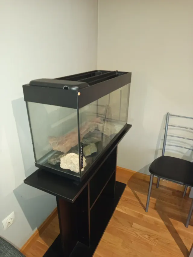 Acuario Nautilus ICA