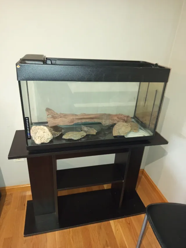 Acuario Nautilus ICA