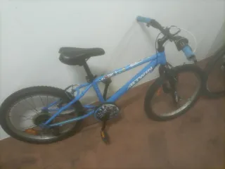 Bicicleta Infantil 20"