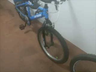 Bicicleta Infantil 20"