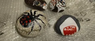 Dipinti a mano.animali