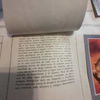 Álbum cromos "Vida y color 2" 1968