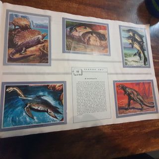Álbum cromos "Vida y color 2" 1968
