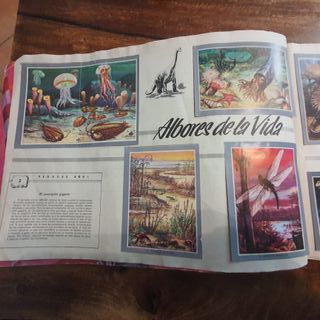 Álbum cromos "Vida y color 2" 1968