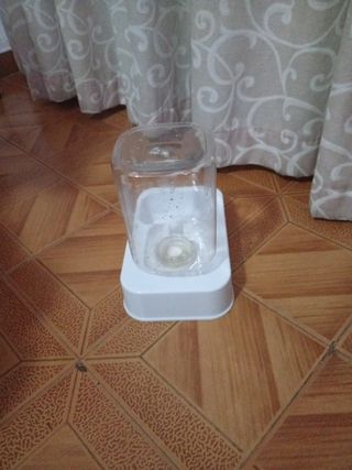 Abbeveratoio per animali domestici trasparente e bianco