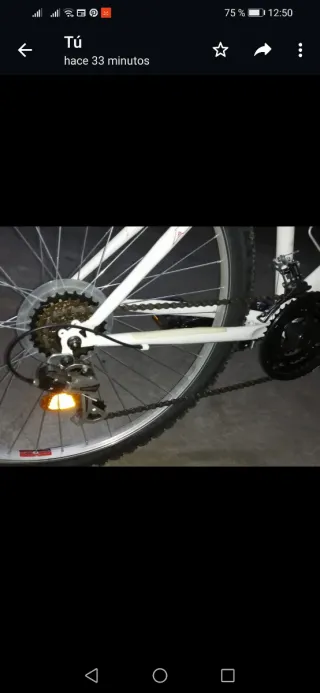 Bicicleta de montaña blanca 26 pulgadas